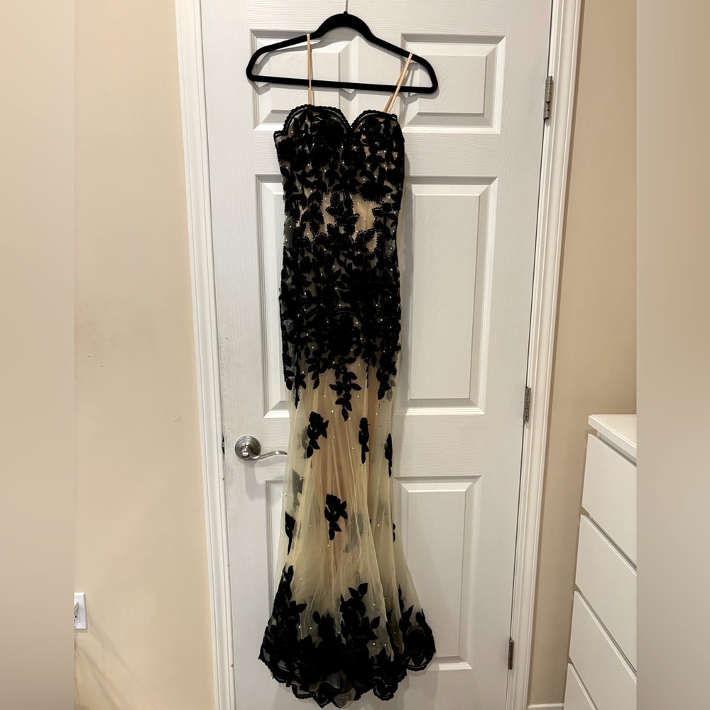Black Lace Dress with Mesh detail